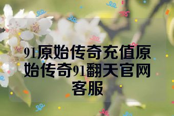 91原始传奇充值原始传奇91翻天官网客服