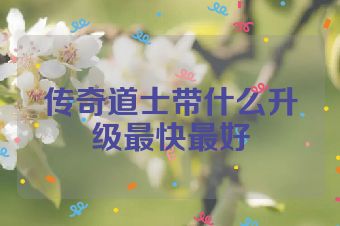 传奇道士带什么升级最快最好