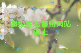 超级变态传奇网站道士