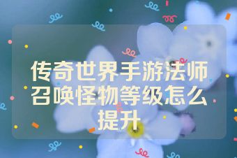 传奇世界手游法师召唤怪物等级怎么提升