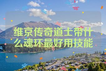 维京传奇道士带什么魂环最好用技能