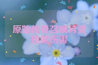 原始传奇召唤月灵技能伤害