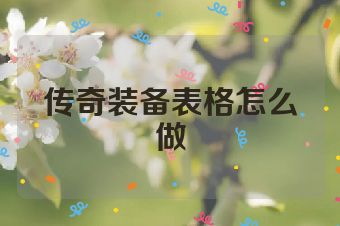 传奇装备表格怎么做