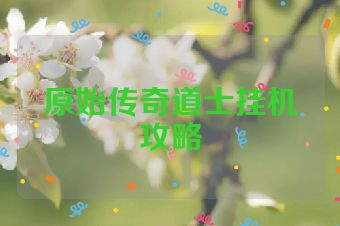 原始传奇道士挂机攻略
