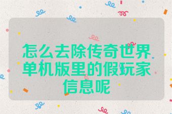 怎么去除传奇世界单机版里的假玩家信息呢