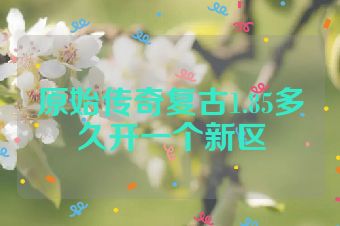 原始传奇复古1.85多久开一个新区