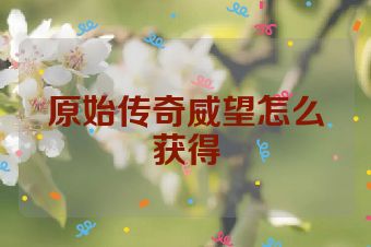 原始传奇威望怎么获得
