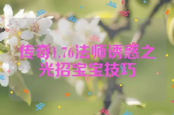 传奇1.76法师诱惑之光招宝宝技巧