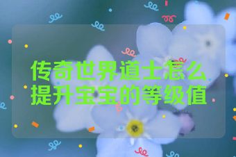 传奇世界道士怎么提升宝宝的等级值