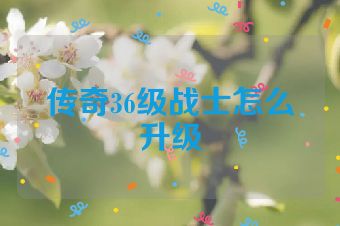 传奇36级战士怎么升级