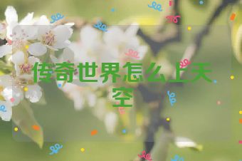 传奇世界怎么上天空