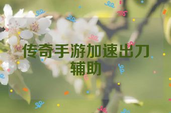 传奇手游加速出刀辅助
