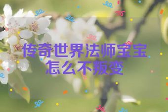 传奇世界法师宝宝怎么不叛变