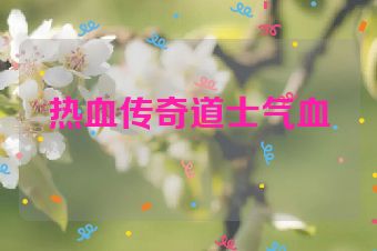 热血传奇道士气血