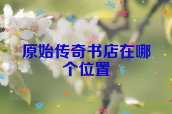 原始传奇书店在哪个位置