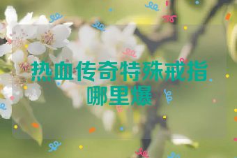 热血传奇特殊戒指哪里爆