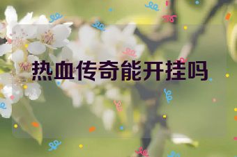热血传奇能开挂吗