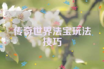 传奇世界法宝玩法技巧