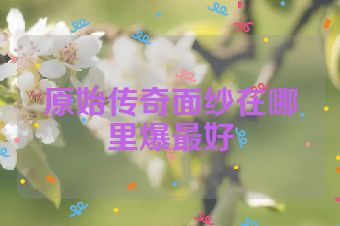 原始传奇面纱在哪里爆最好