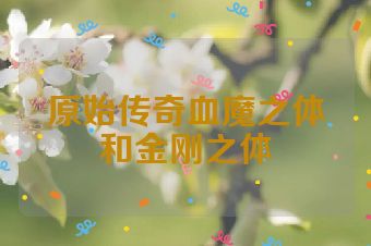 原始传奇血魔之体和金刚之体