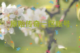 原始传奇一区账号
