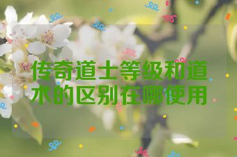 传奇道士等级和道术的区别在哪使用