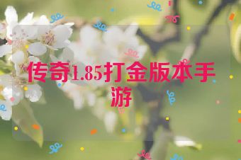 传奇1.85打金版本手游