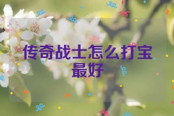 传奇战士怎么打宝最好