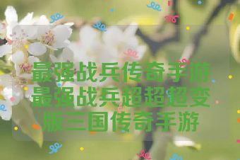 最强战兵传奇手游最强战兵超超超变版三国传奇手游