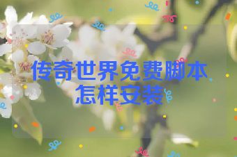 传奇世界免费脚本怎样安装