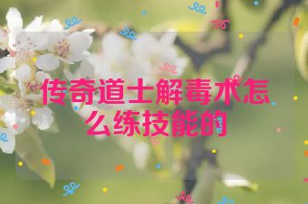 传奇道士解毒术怎么练技能的