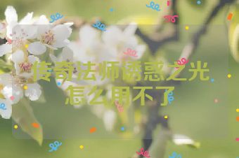 传奇法师诱惑之光怎么用不了
