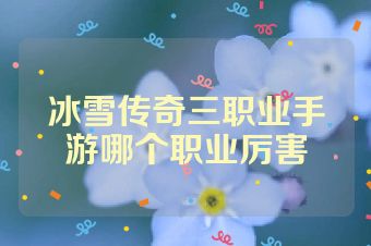 冰雪传奇三职业手游哪个职业厉害