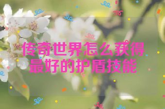 传奇世界怎么获得最好的护盾技能