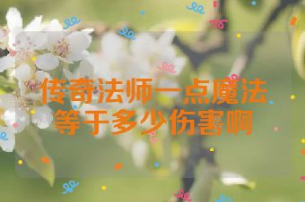 传奇法师一点魔法等于多少伤害啊