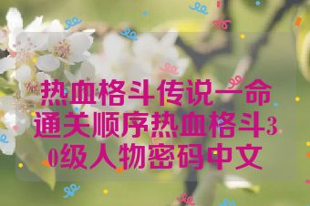 热血格斗传说一命通关顺序热血格斗30级人物密码中文