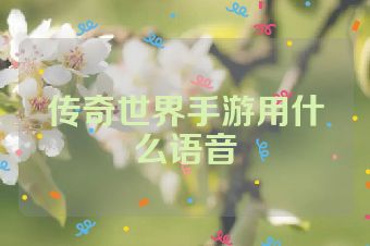传奇世界手游用什么语音