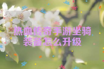 热血传奇手游坐骑装备怎么升级