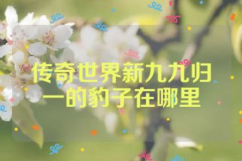 传奇世界新九九归一的豹子在哪里