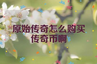 原始传奇怎么购买传奇币啊