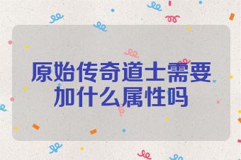 原始传奇道士需要加什么属性吗