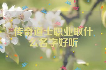 传奇道士职业取什么名字好听