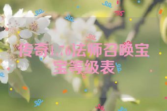 传奇1.76法师召唤宝宝等级表