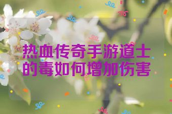热血传奇手游道士的毒如何增加伤害