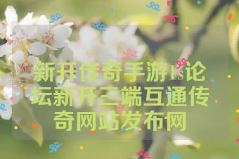新开传奇手游1s论坛新开三端互通传奇网站发布网