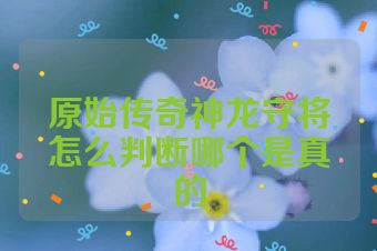 原始传奇神龙守将怎么判断哪个是真的