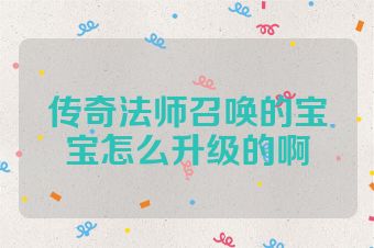 传奇法师召唤的宝宝怎么升级的啊