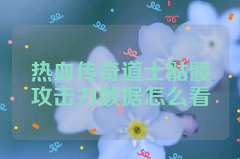 热血传奇道士骷髅攻击力数据怎么看