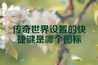 传奇世界设置的快捷键是哪个图标