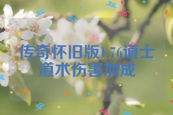 传奇怀旧版1.76道士道术伤害加成